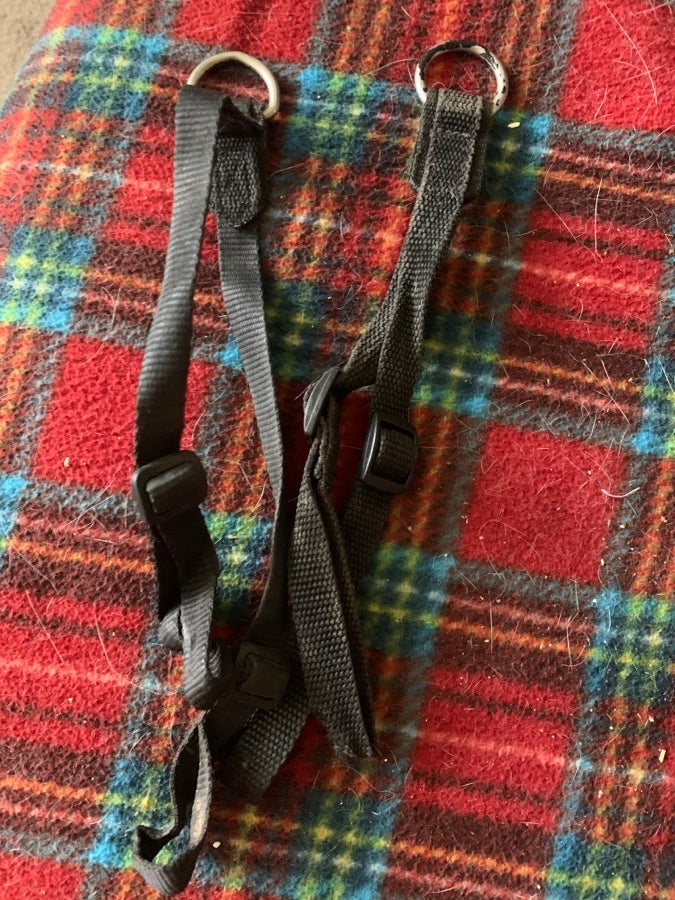 Air vest grab strap