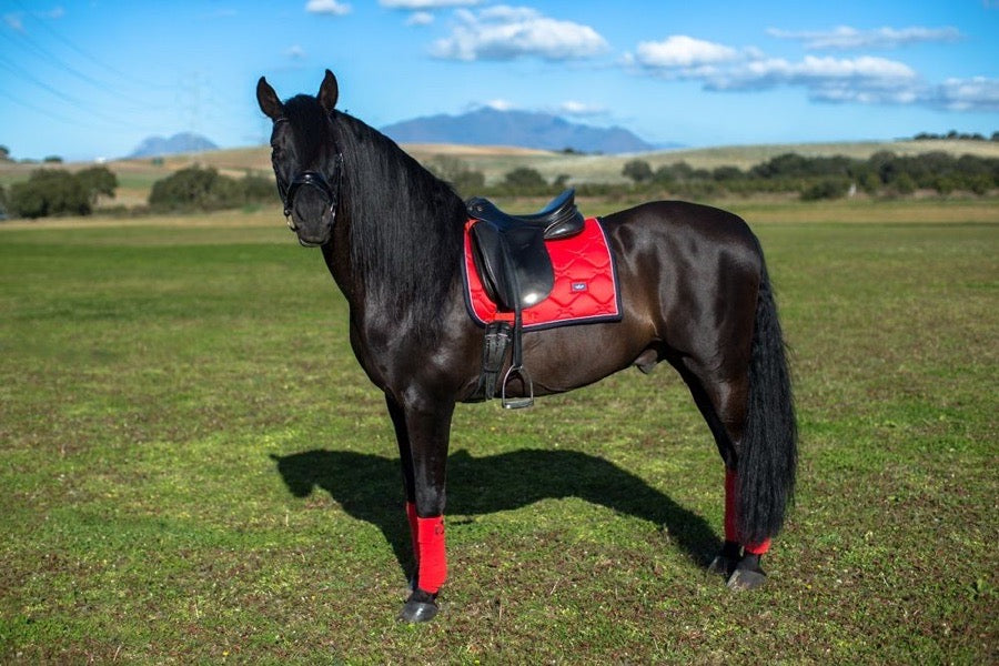 Equestrian Stockholm Fleece Wraps (Grenadine)