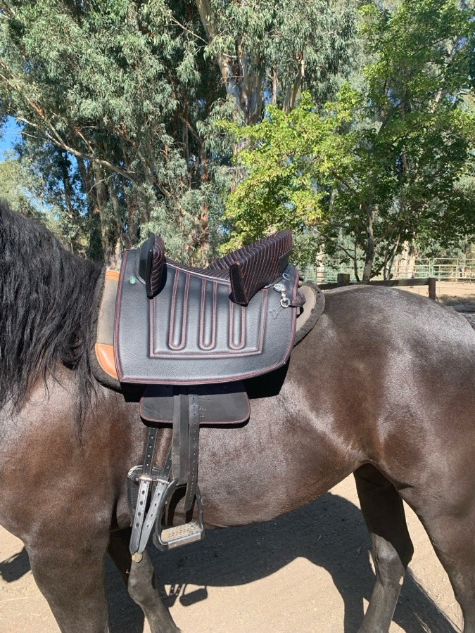 Other Ludomar Saddle