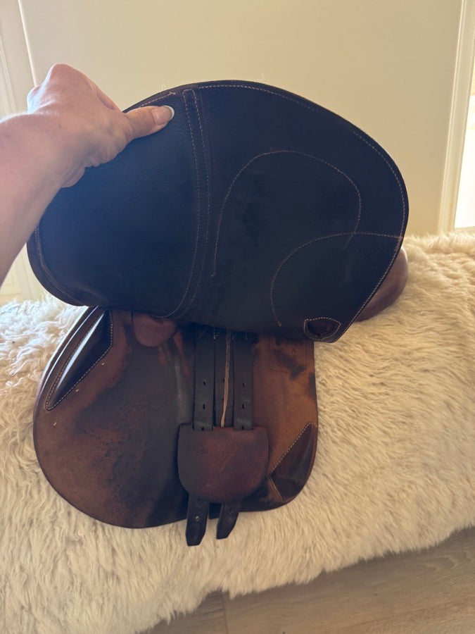 ANTARES Beautiful  16.5 “ Antares Connexion Saddle (6)