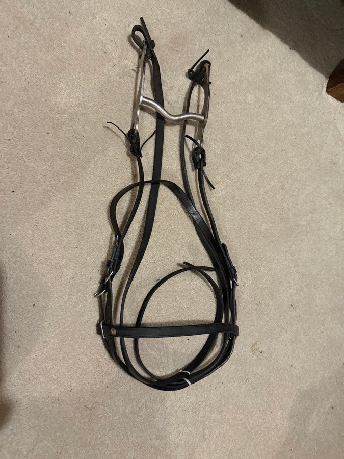 Other Bridle