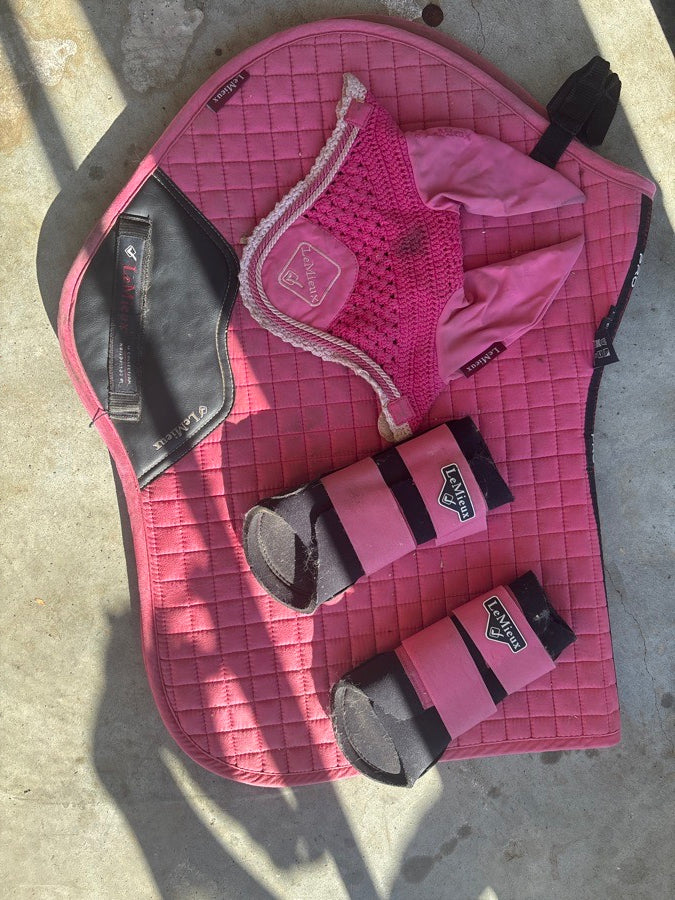 LEMIEUX lemieux watermelon set!!