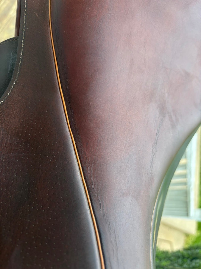 Pessoa Saddle
