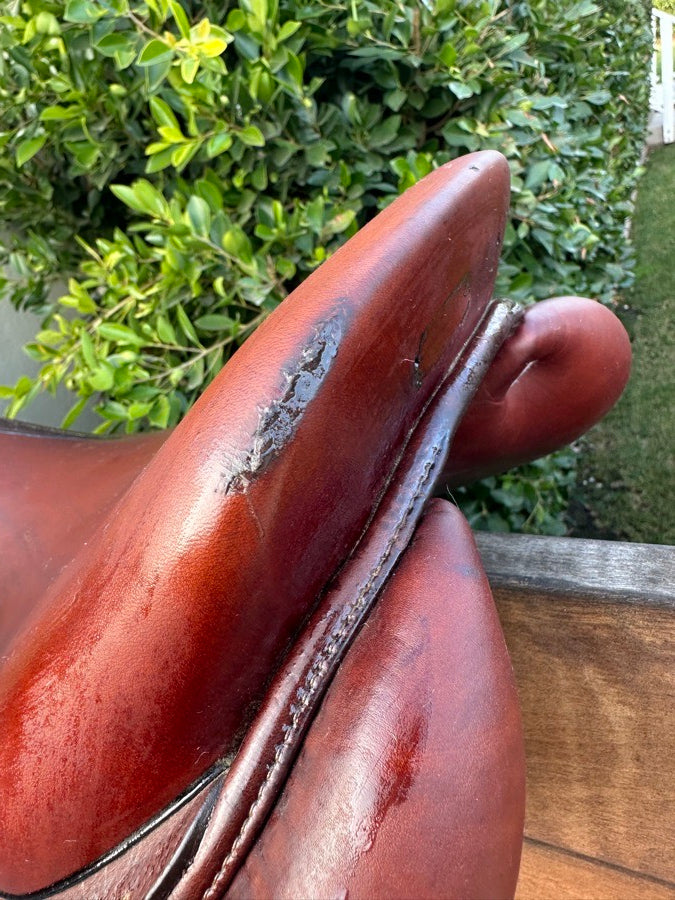 CWD Se01 15.5”  1L