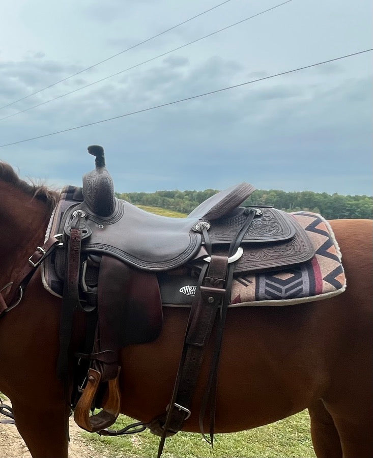 Other 15.5 Laredo ranch cutter