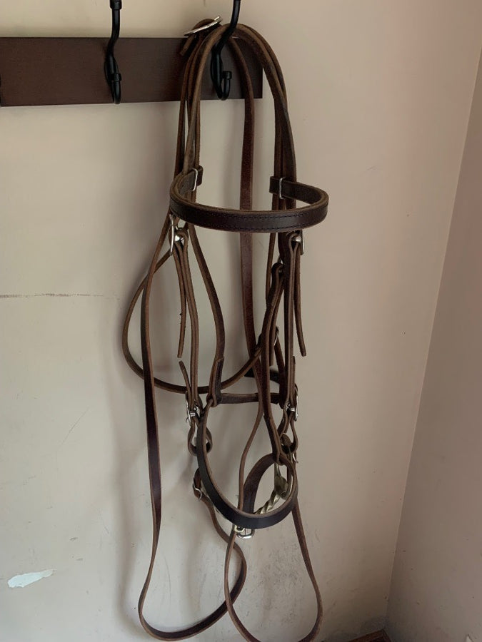 Draft English Bridle