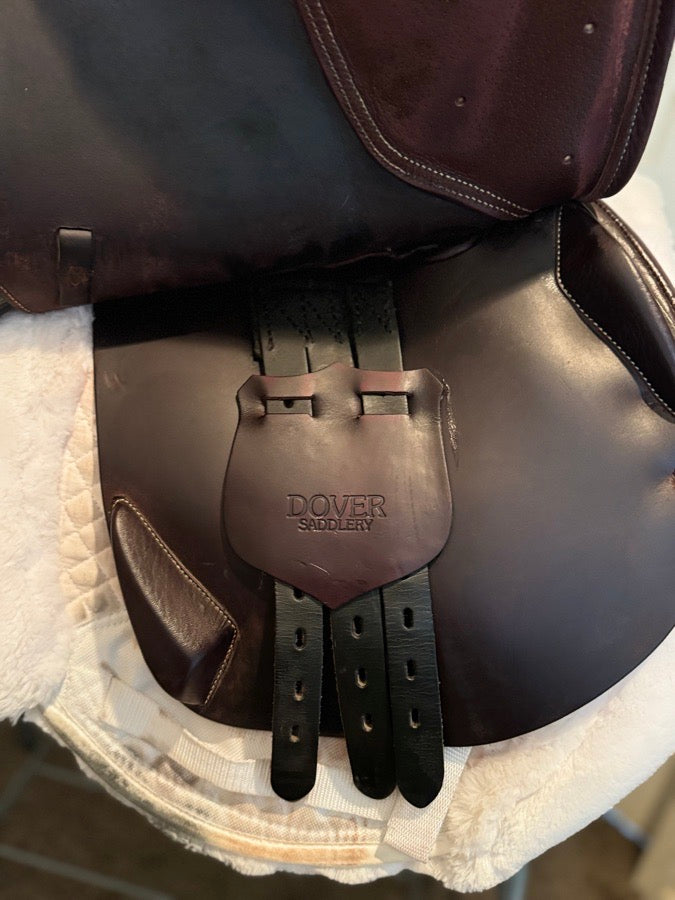 Dover circuit saddle