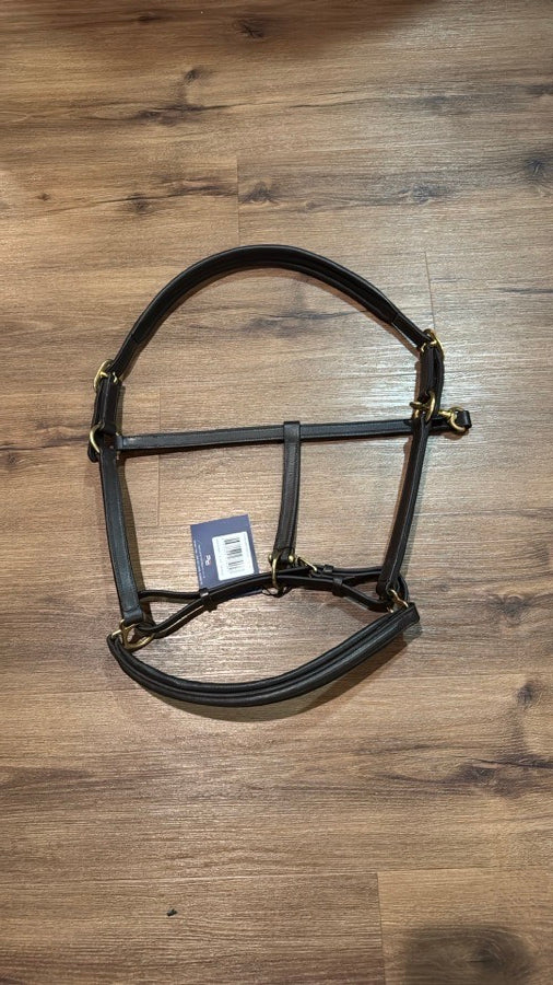 NWT Premier Equine Padded Leather Halter. Size Extra Full - Dark Brown