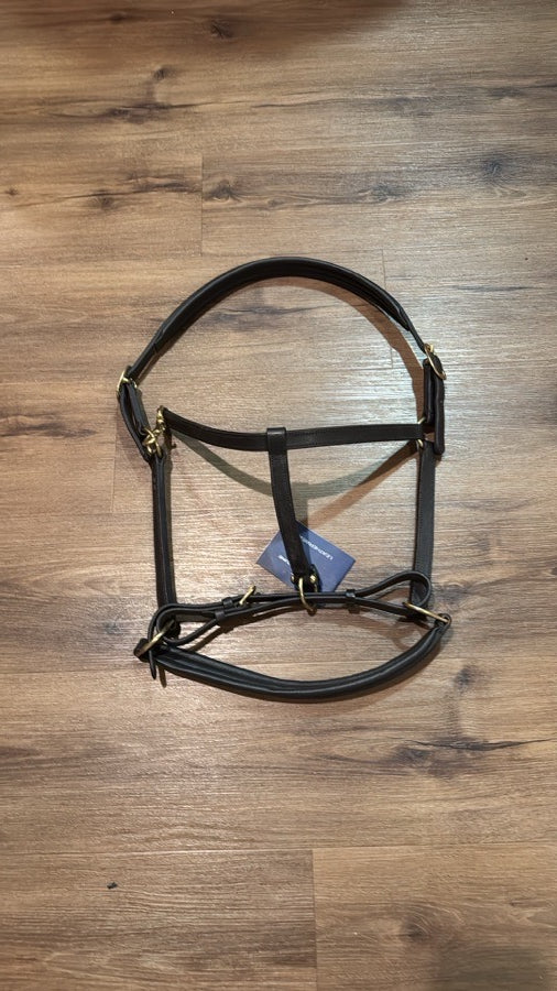 NWT Premier Equine Padded Leather Halter. Size Extra Full - Dark Brown