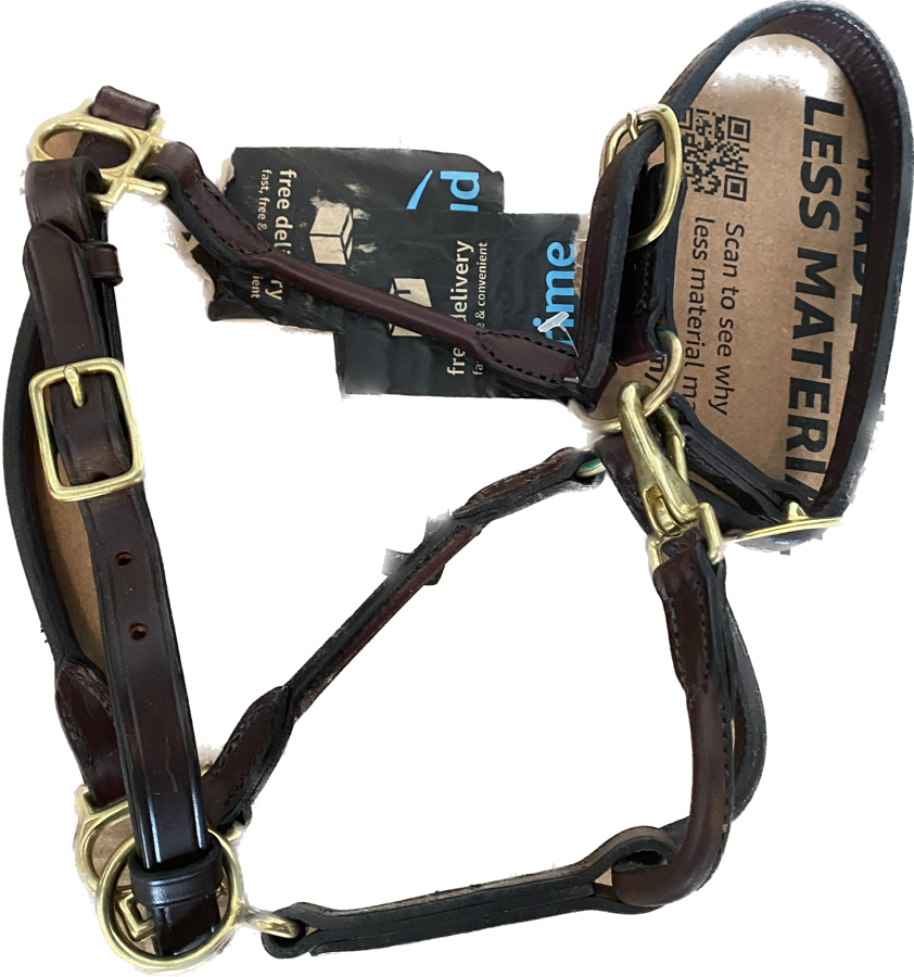 Leather pony halter