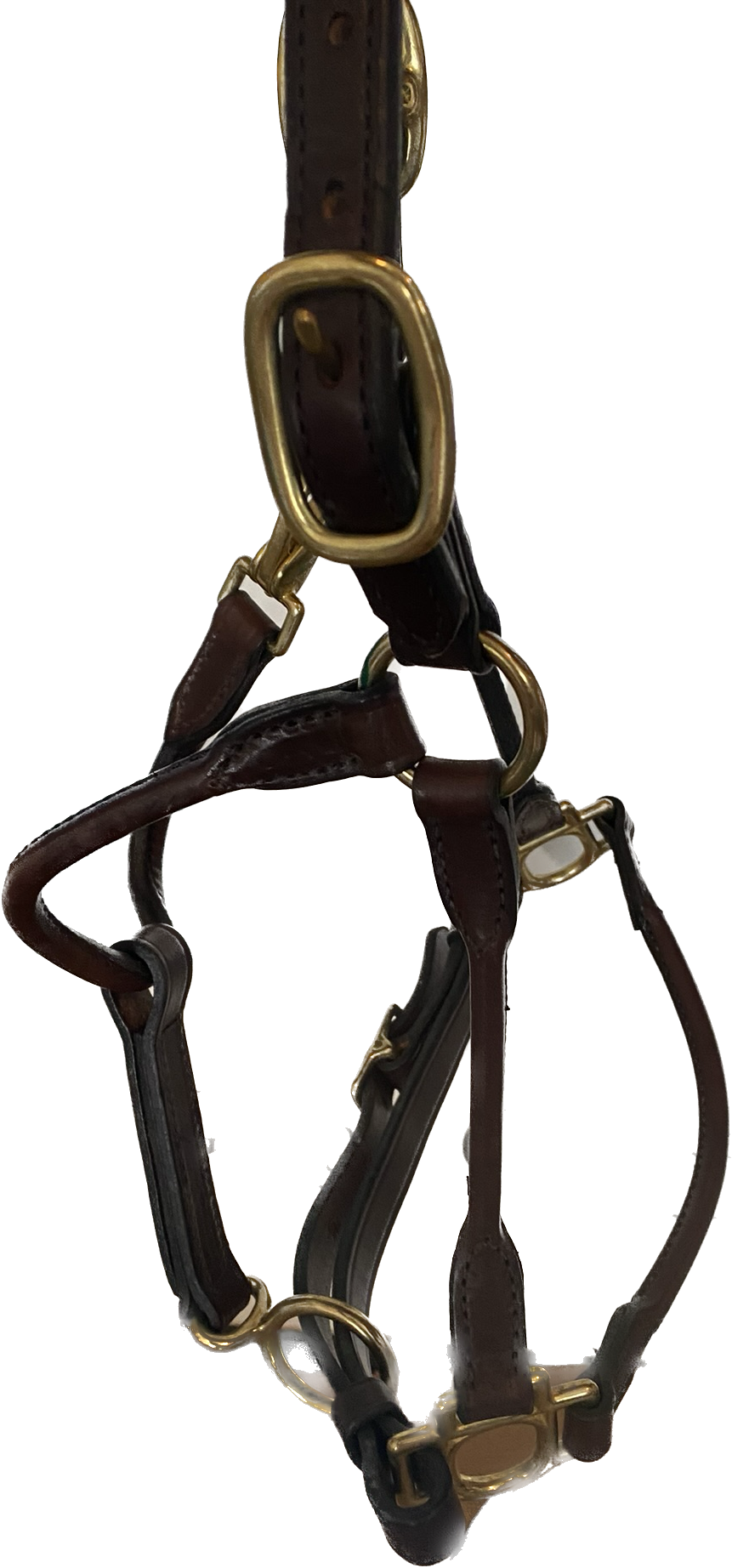 Leather pony halter
