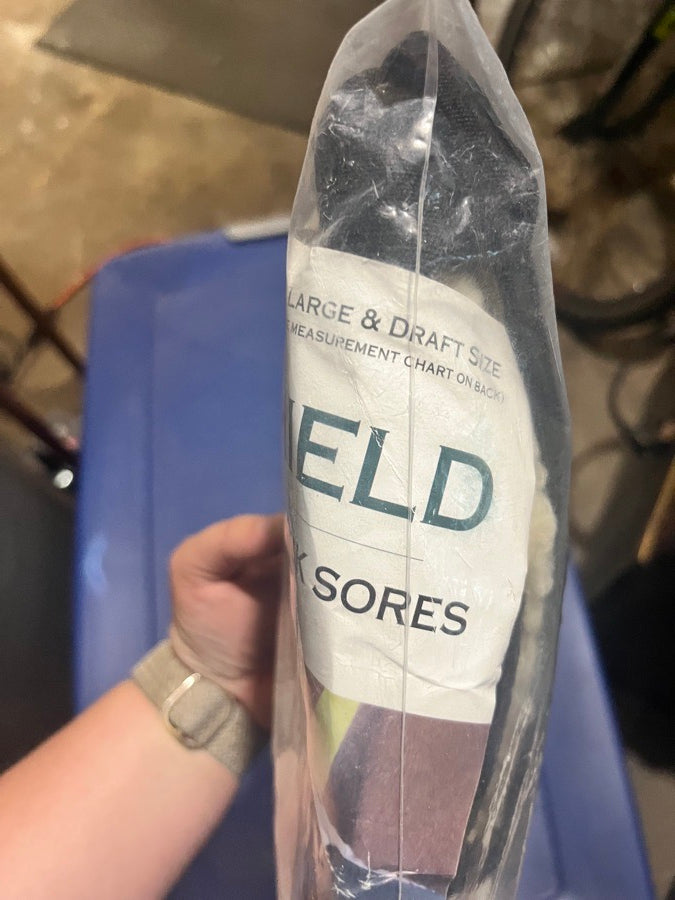Hock shield boots XL