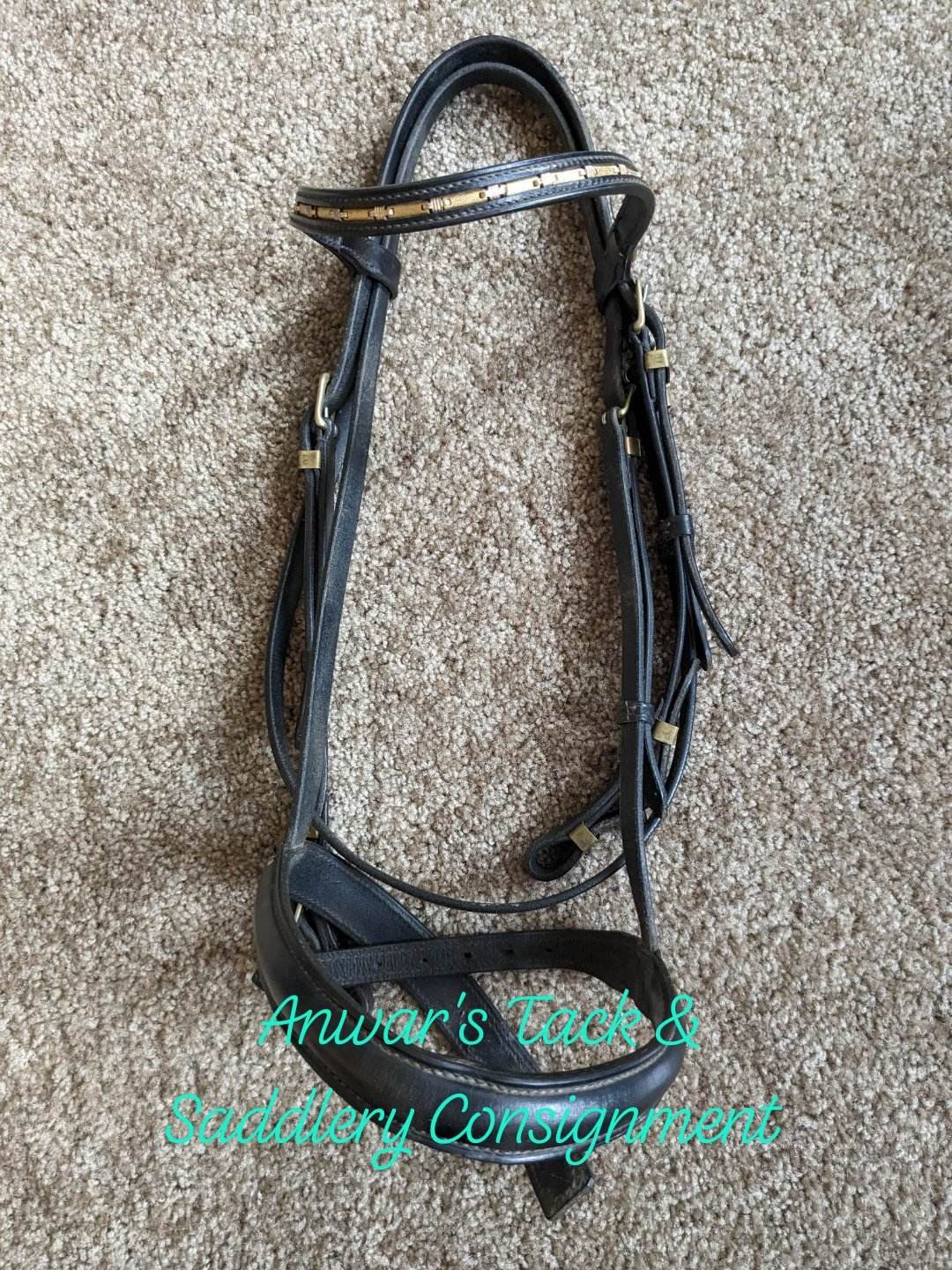 Horse Sized Black Bridle with Gold Brow Band