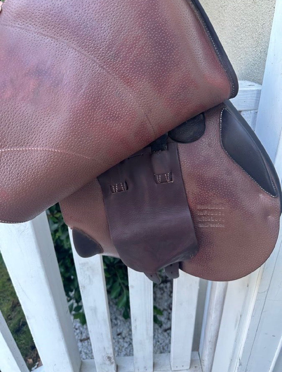 Palm Beach Voltaire 17”