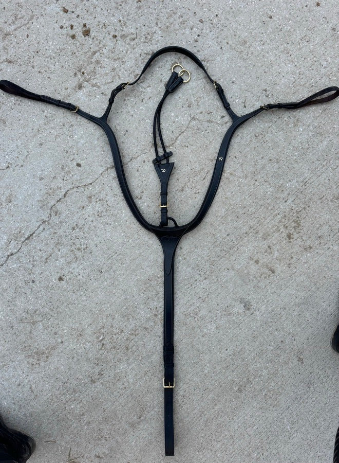 Dyon Breastplate