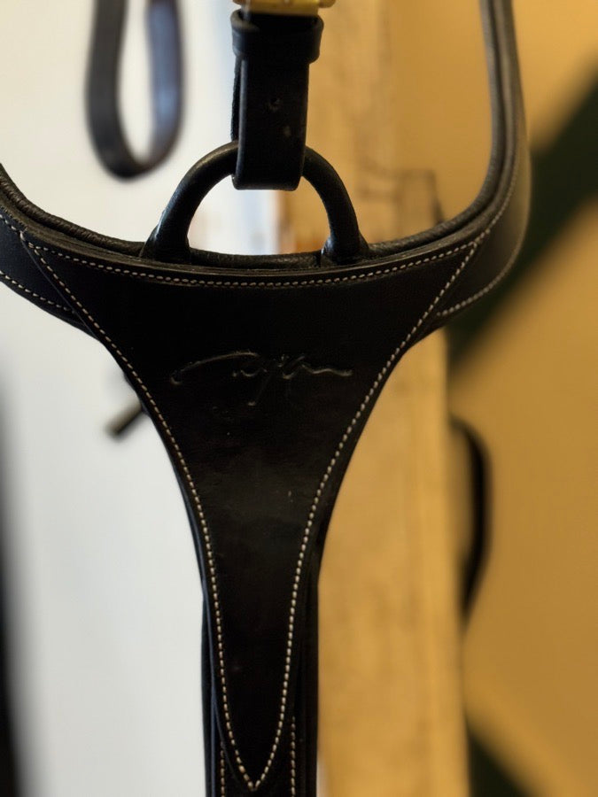 Dyon Breastplate
