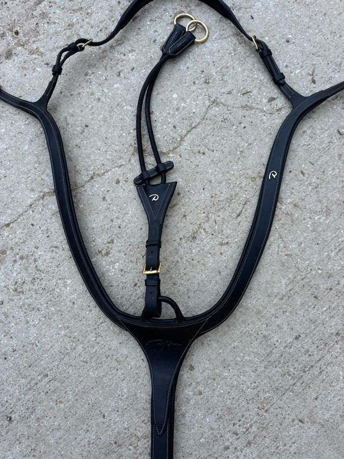 Dyon Breastplate