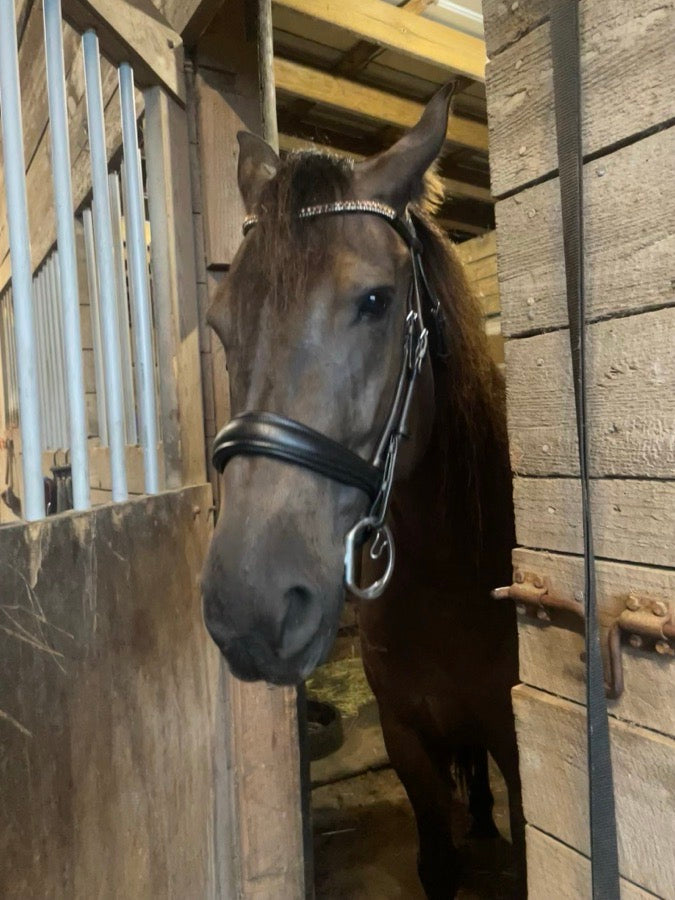 Other 'MADELINE' ROLLEDLEATHER BRIDLE (CAVESSON) (2)