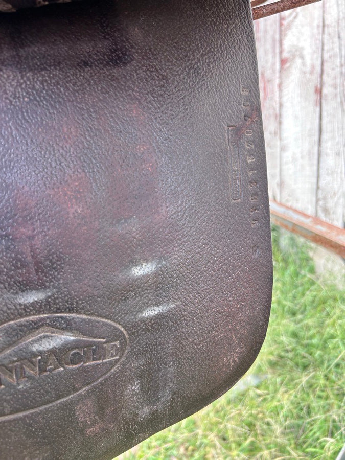 PINNACLE 16 in PINNACLE SADDLE (3)