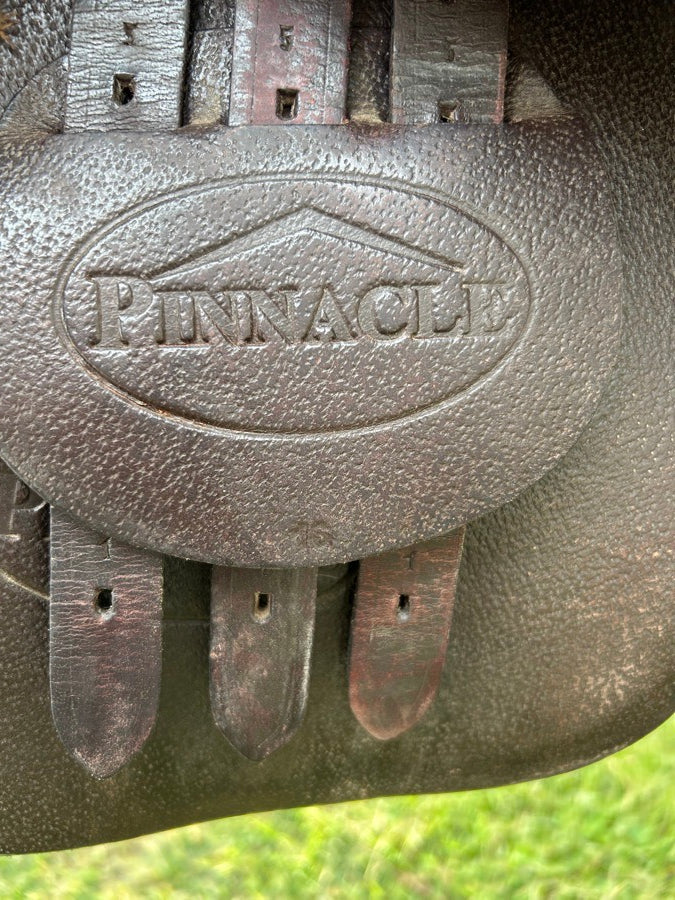 PINNACLE 16 in PINNACLE SADDLE (4)
