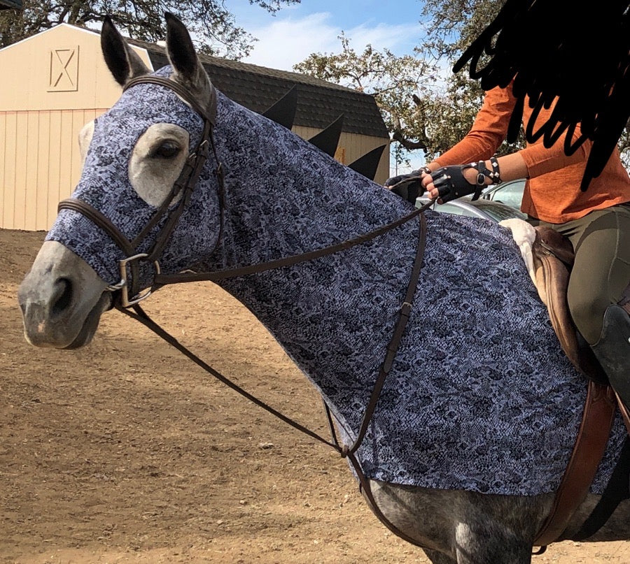 Horse dragon costume
