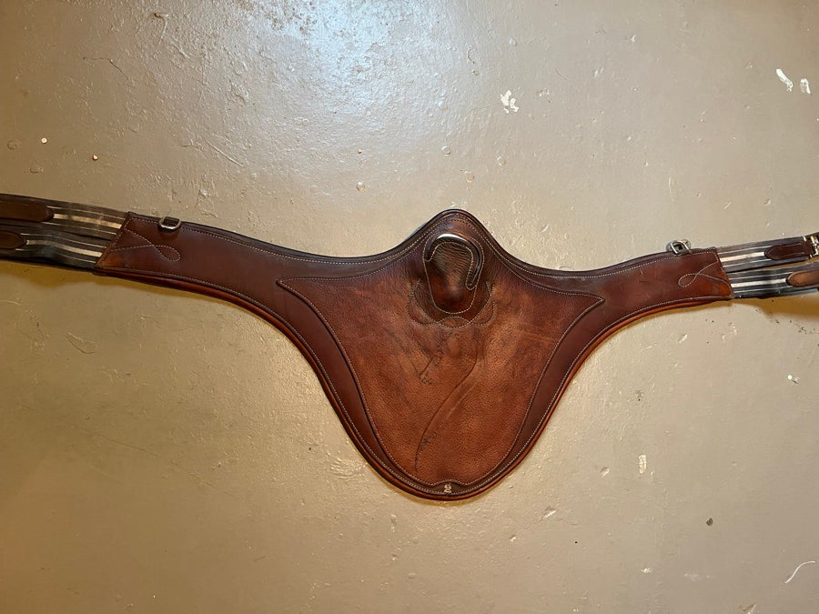 ANTARES Antares belly girth 50” (2)