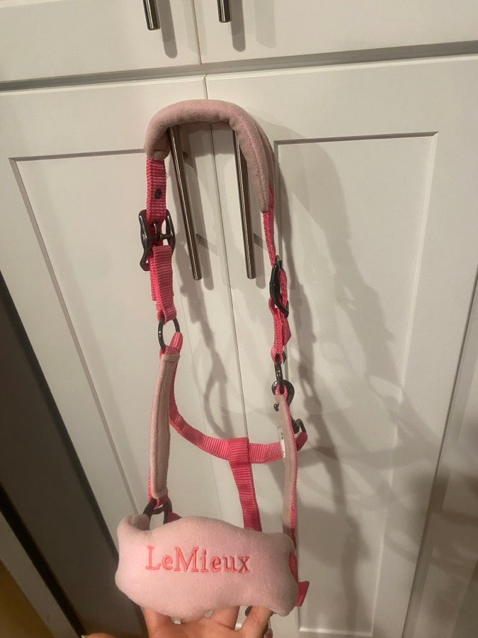 Pink LeMieux halter & lead