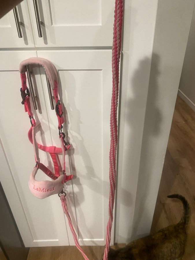 Pink LeMieux halter & lead