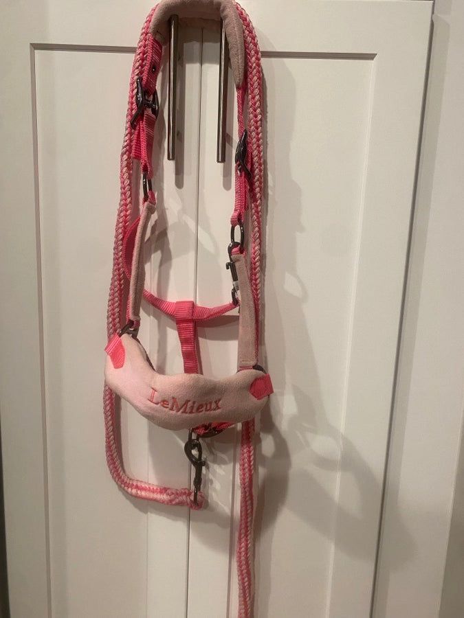Pink LeMieux halter & lead