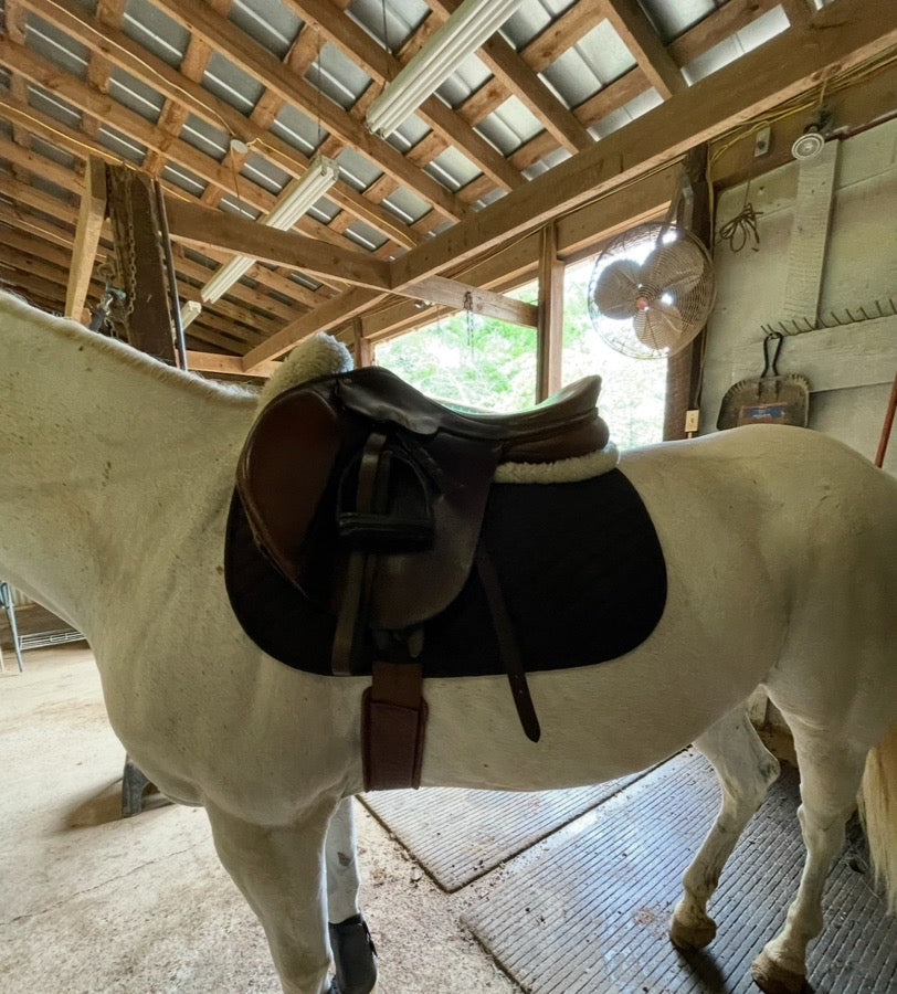 COLLEGIATE Colligate AP saddle 17” (2)