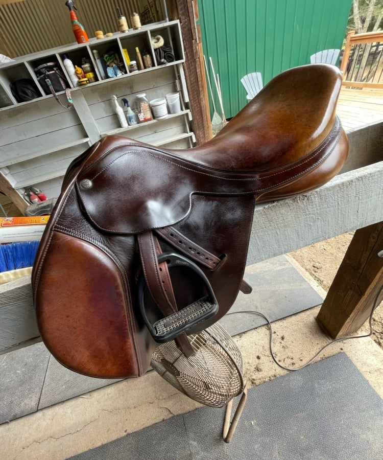 COLLEGIATE Colligate AP saddle 17”
