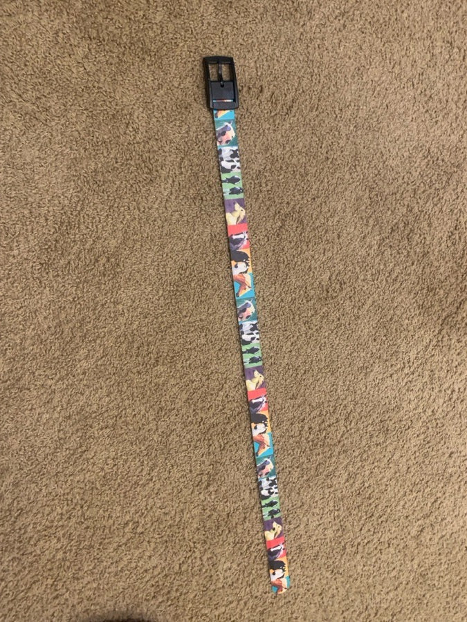 C4 belt