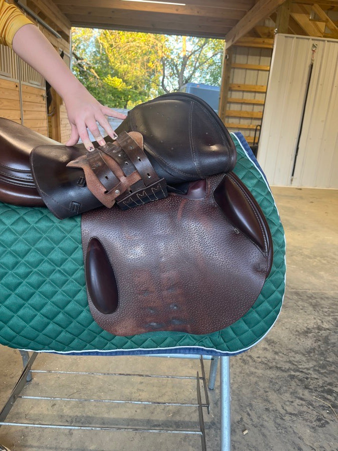 PRESTIGE Prestige Meredith Saddle (6)
