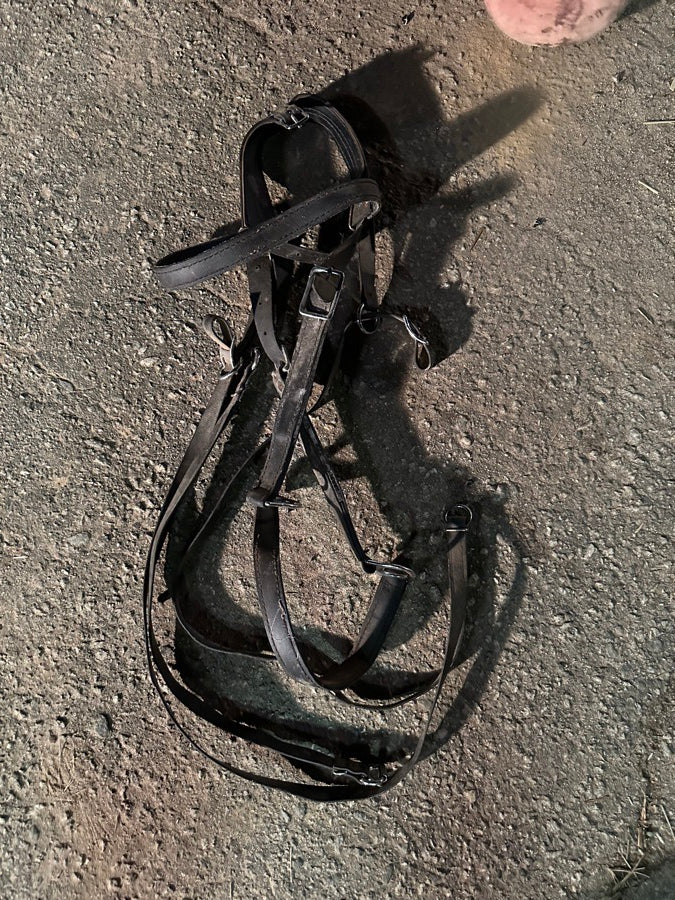 OTHER Leather Draft Horse Bridles (4)