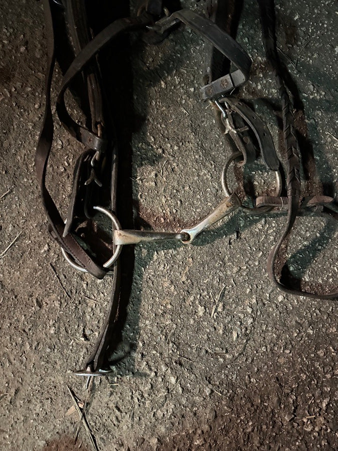 OTHER Leather Draft Horse Bridles (3)