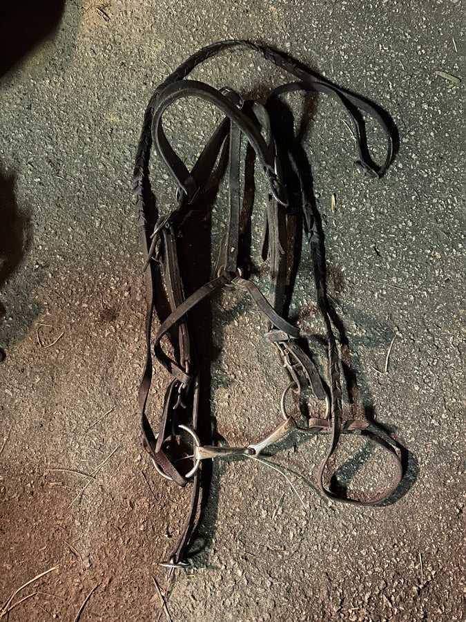 OTHER Leather Draft Horse Bridles