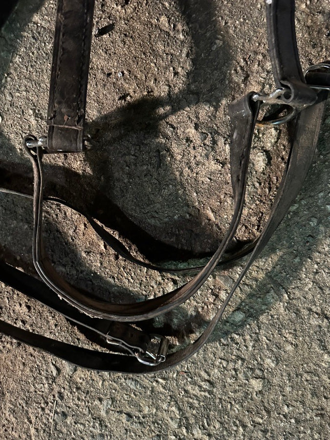 OTHER Leather Draft Horse Bridles (5)