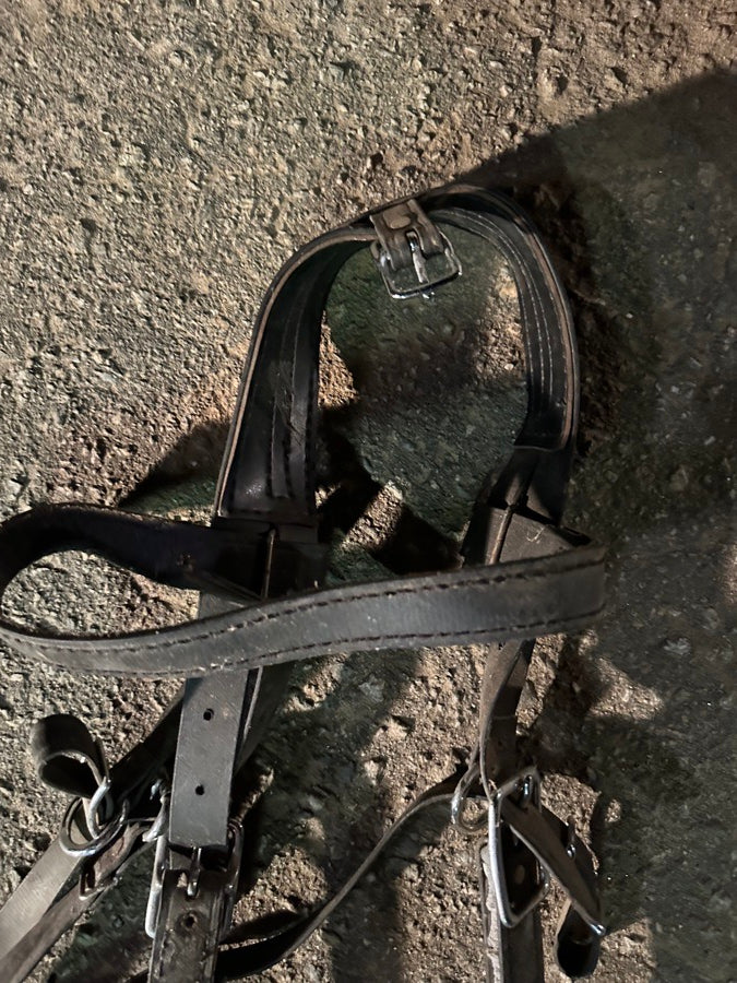 OTHER Leather Draft Horse Bridles (6)