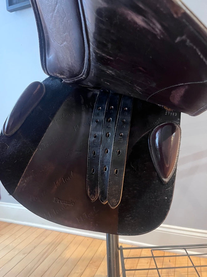 M. Toulouse saddle