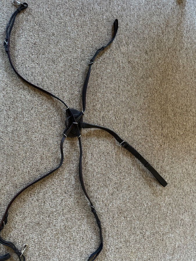 Dy’on crossed breastplate