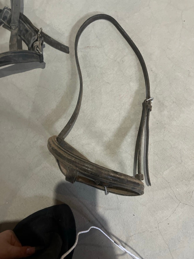 Noseband #2
