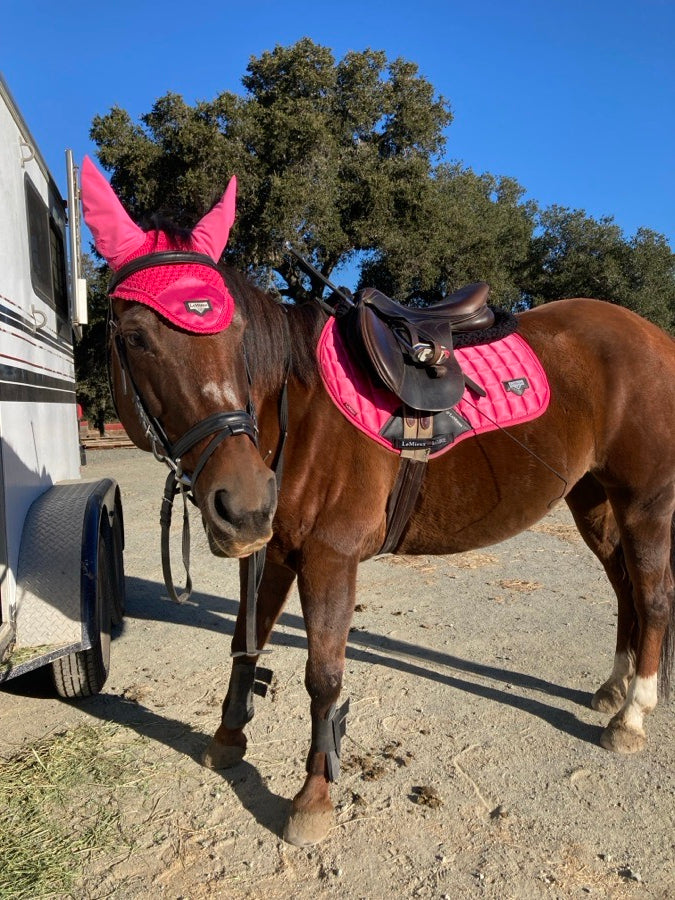 Pessoa Brown Jump Saddle