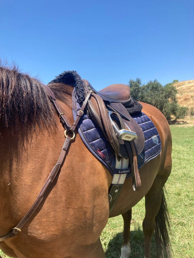 Pessoa Brown Jump Saddle