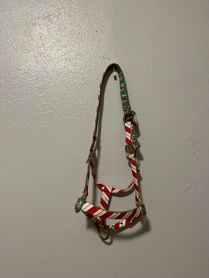 Pony Christmas halter