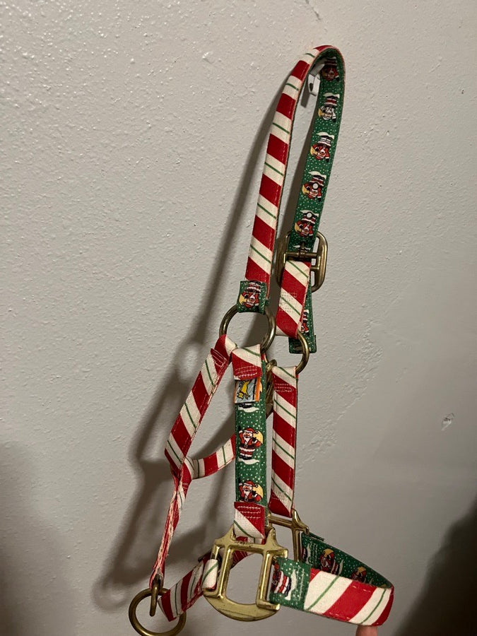 Pony Christmas halter