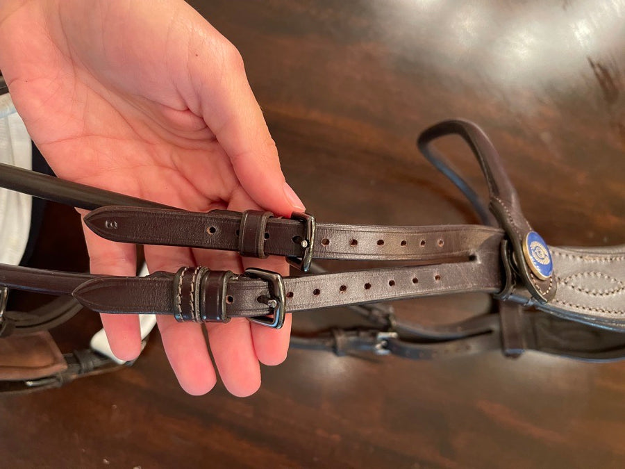 PS OF SWEDEN PS Brown Bridle GP (5)