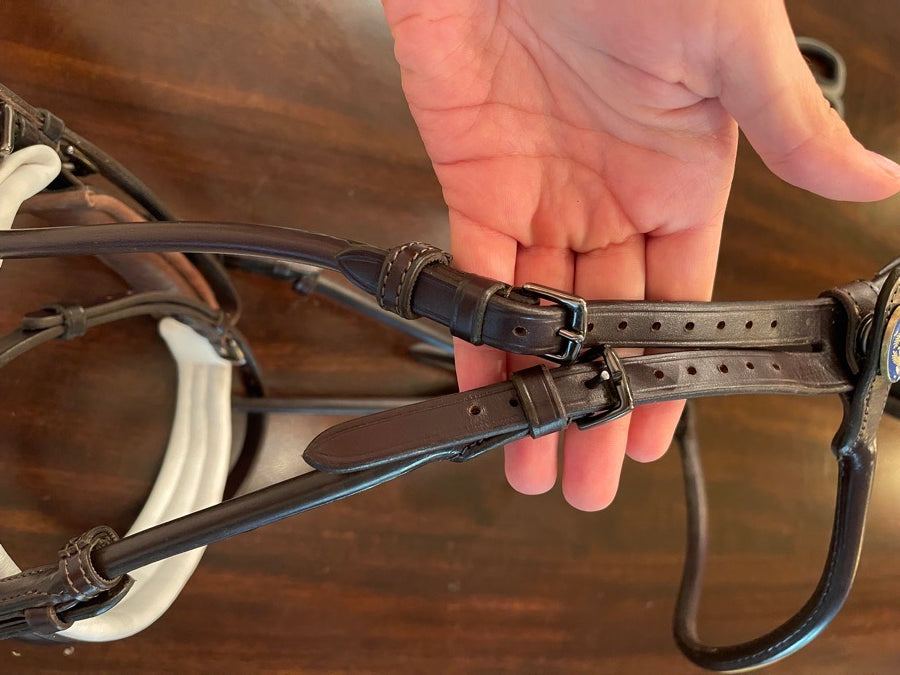 PS OF SWEDEN PS Brown Bridle GP (4)