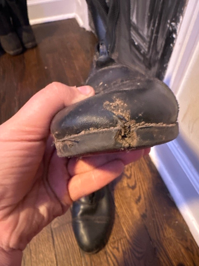 EQUISTAR Paddock boots (5)