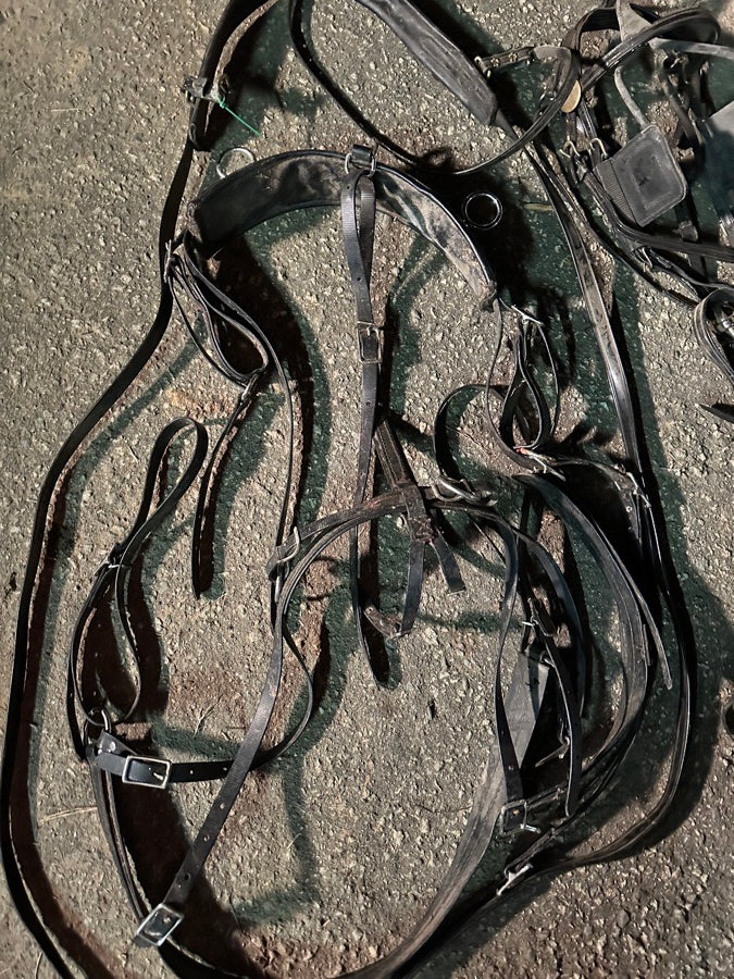 Mini Horse Harnesses & Accessories
