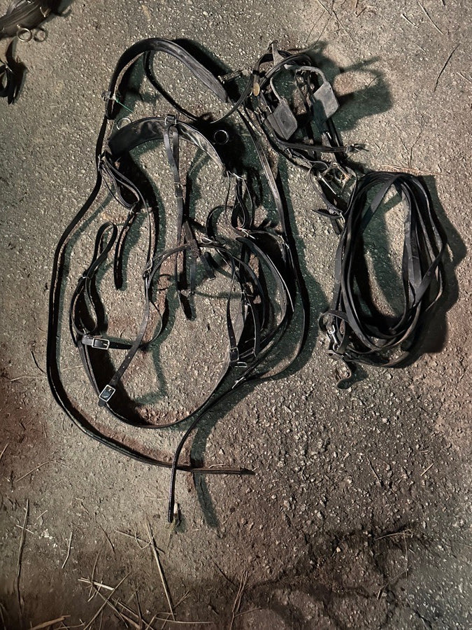 Mini Horse Harnesses & Accessories